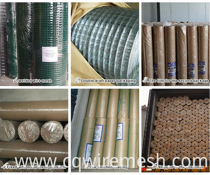 PVC Coated Green Wire Netting Galvanized Welded Wire Mesh for Garden Fence and Cages